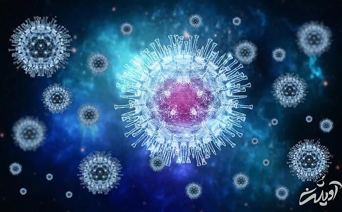 ویروس آبله میمونی